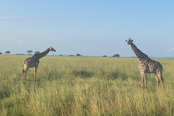 2 DAYS ZANZIBAR TO MIKUMI Flight Safari - Good To Know