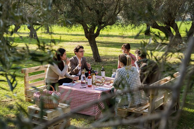 2-Hour Picnic Among the Olive Trees With Typical Abruzzese Products - Picnic Experience Overview