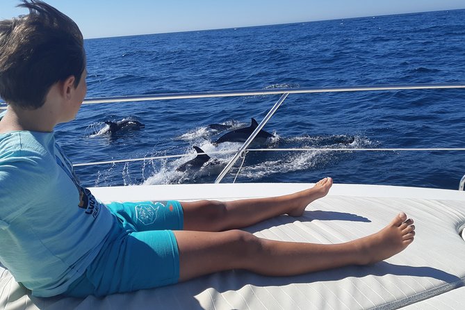 2 Hours Dolphin Watching in Marbella - Good To Know