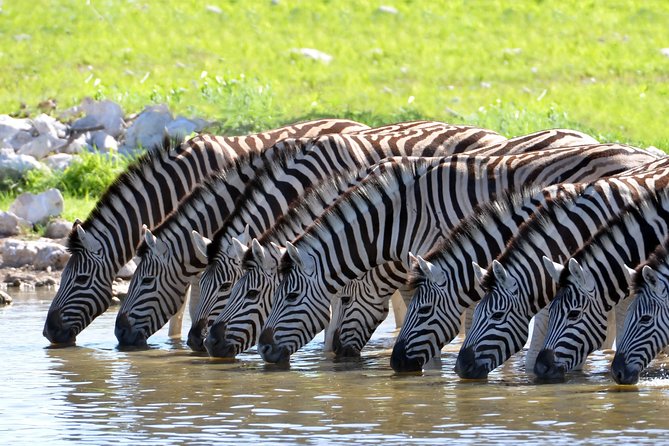 2-Nights 5-Star Sanbona Game Reserve With Private Transfers to and From Sanbona