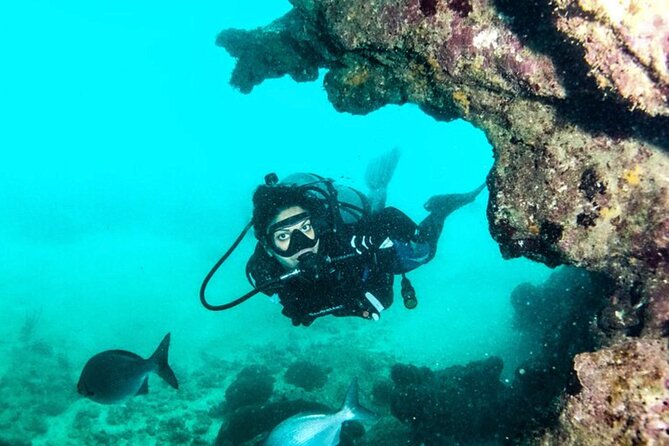 2-Tank Scuba Boat Trip in World-Class Sites @ Copamarina - Key Points