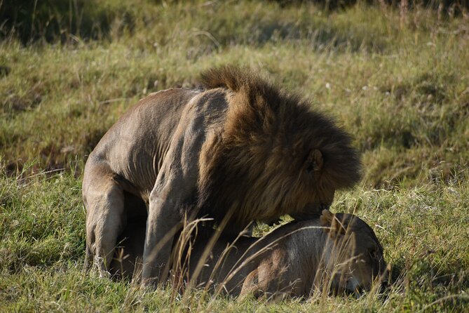 06 Days Kenya LuxuryLodge Safari - Inclusions and Exclusions