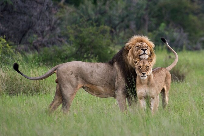 07-Days Murchison Falls, Queen Elizabeth & Gorillas Safari - Itinerary Highlights