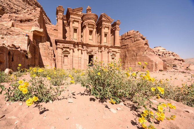 1 Day Tour to Petra From Eilat - Inclusions and Costs