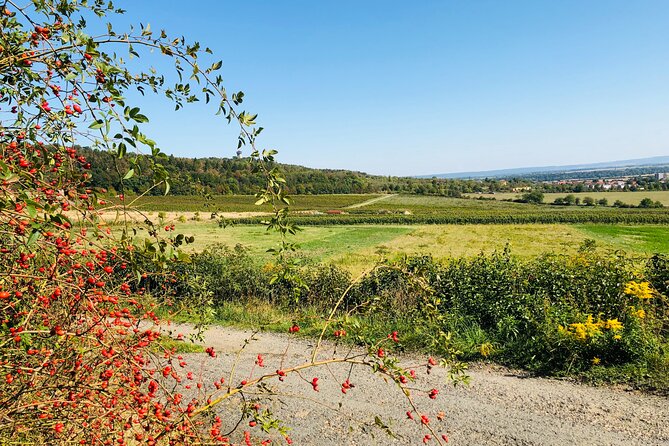 1 Day UNESCO Private Wine Experience in Kutna Hora - Tasting Exceptional Wines in Kutna Hora