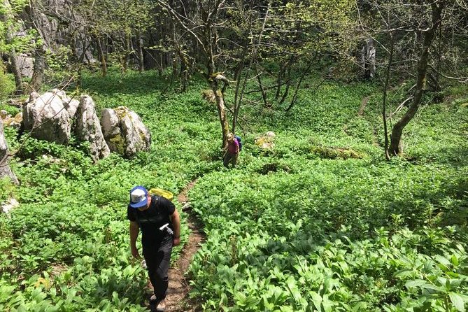 1 Day White Rocks Wilderness - Vihoraski Trail Hike From Zagreb - Logistics and Transportation