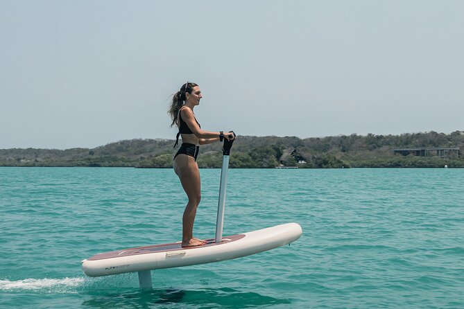 1 Hour Efoil FliteScooter Experience in Fenix Beach Cartagena - Included Gear and Accessories