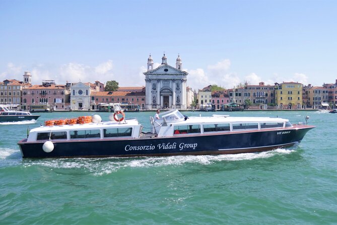 1-Hour Panoramic Tour of Venice by Boat - Accessibility and Participation