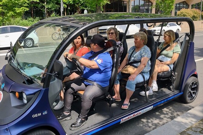 1 Hour Philadelphia Private Guided Tour by Deluxe Electric Car - Tour Details and Accessibility