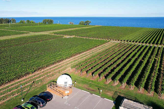 1 Hour Private Vineyard Dome Experience in Niagara-on-the-Lake - Guest Reviews