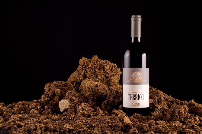 1 Hour Wine Tasting Experience in the Hills of Florence - Location and Accessibility