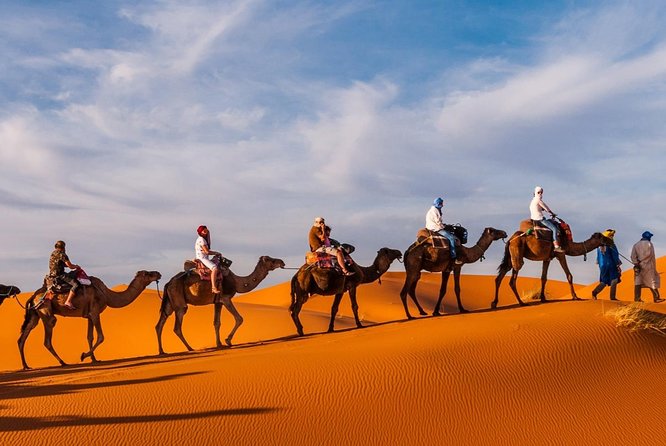 1 Night Camel Trekking in Merzouga - Highlights of the Experience
