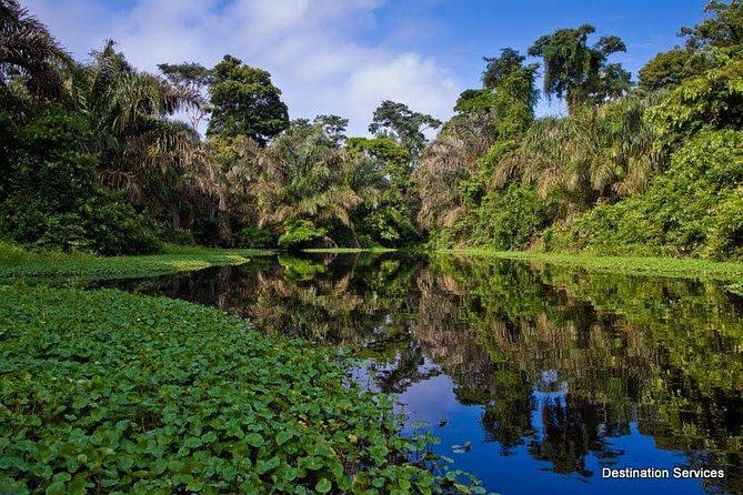 10 Days Caribbean to Pacific From San Jose - Highlights and Experiences