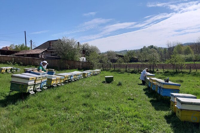 10 Hours Private Apiary Tour in Romania - From Bucharest - Booking Information