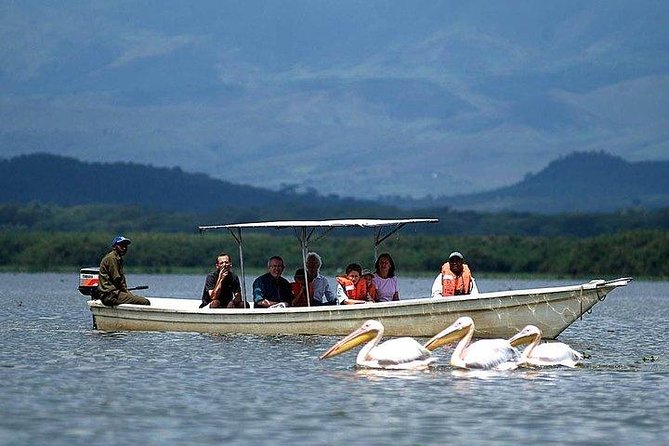 12-DAY Kenya and Tanzania Budget Private Safari From Nairobi - Meeting and Pickup