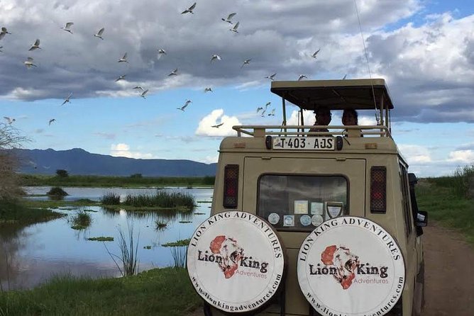 12 Days Luxury Tanzania Honeymoon Safari and Zanzibar - Unique Safari Activities