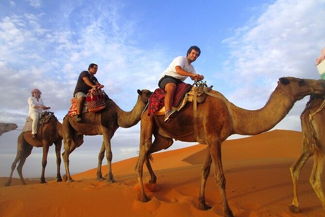 12 Days Private Luxury Sightseeing Tour in Morocco - Luxury Accommodations