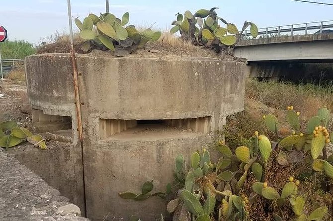 1943: the Battle of the Primosole Bridge - Axis Forces at Primosole
