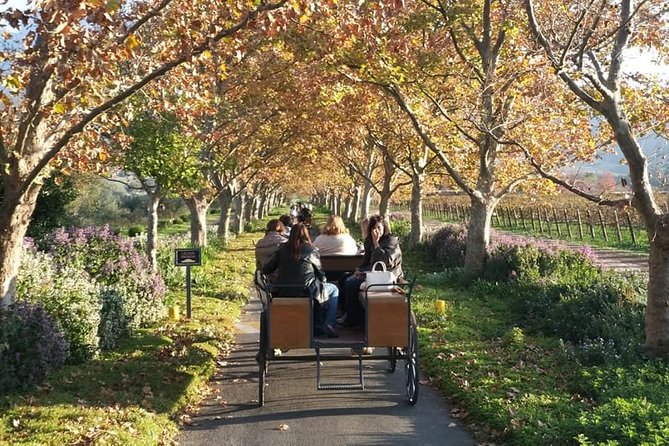 1h – Carriage Trail - Meeting and Pickup Details