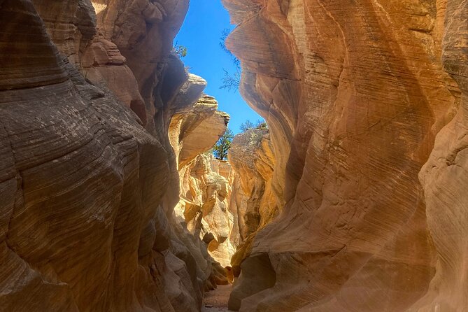 2.5hr Willis Creek/Sunset Tour Paria Valley - Accessibility and Participation