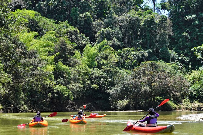 2-Day Kayaking Adventure in the Amazon - Itinerary Overview