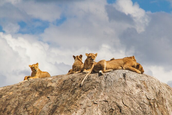 2-Day Private Guided Tour to Tarangire and Ngorongoro - Itinerary Highlights