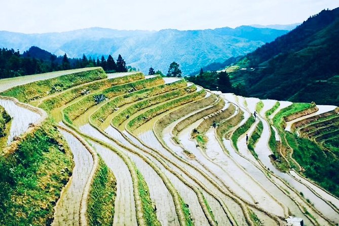 2-Day Private Guilin Highlight Tour Including Li River and Longji Rice Terraces - Itinerary Highlights