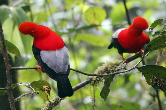 2-Day Private Personalized Tour: Mindo Cloud Forest - Included Experiences