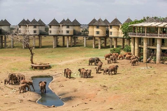 2-Day Safari in Taita Hills From Mombasa - Exploring Tsavo East National Park