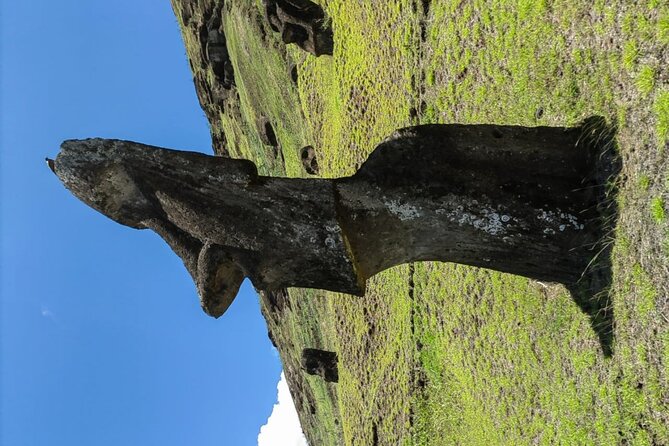 2 Day Tour Exploring the Highlights of Rapa Nui - Inclusions and Requirements