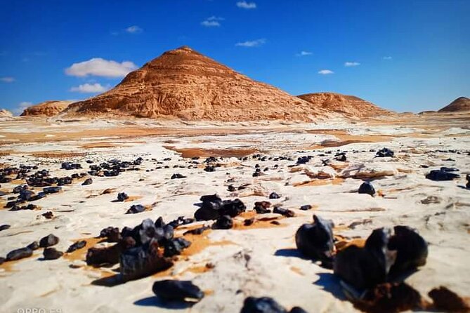 2 Day Tour in White Desert - Reviews and Traveler Experiences