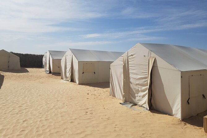 2-Day Tunisia Sahara Desert Camel Trek From Douz - Cultural Insights