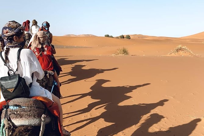 2 Days/1 Night Desert Tour From Fes and Back to Fes - Journey to the Saharan Dunes
