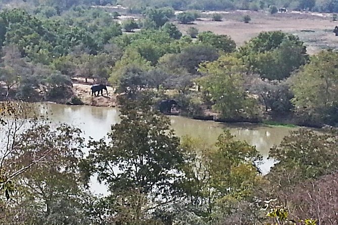 2 Days (1 Night) Elephants Safari at Mole Park With Round - Trip Flights - Inclusions