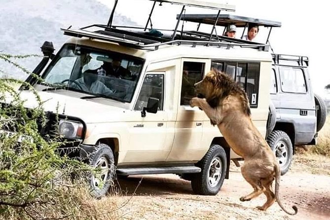2 Days / 1 Night Join Group Safari - Included in the Safari