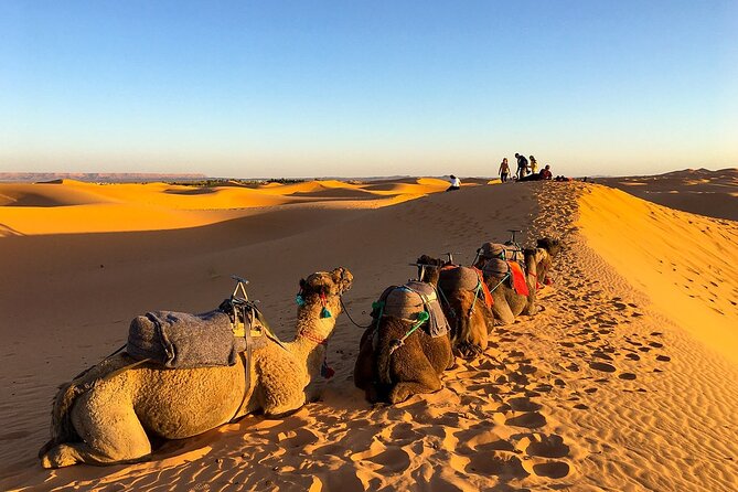 2 Days/1 Night Sahara Desert Trip: Fes - Merzouga - Marrakech - Inclusions and Exclusions
