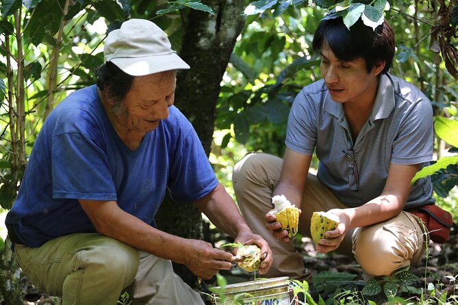 2 Days/1 Night Tour: Be Immersed in a Cocoa Farm in the Jungle of Cusco - Immersive Experience in the Jungle