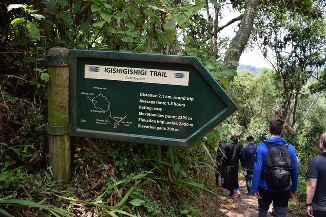2 Days Chimpanzees Trekking Tour and Canopy Walk Adventure - Chimpanzee Trekking Experience