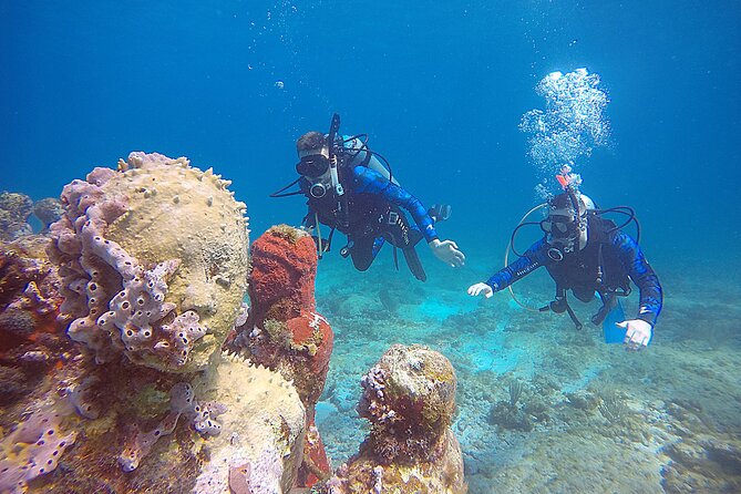 2 Days Class: SDI Open Water Diver Certification in Cancun - Meeting and Arrival