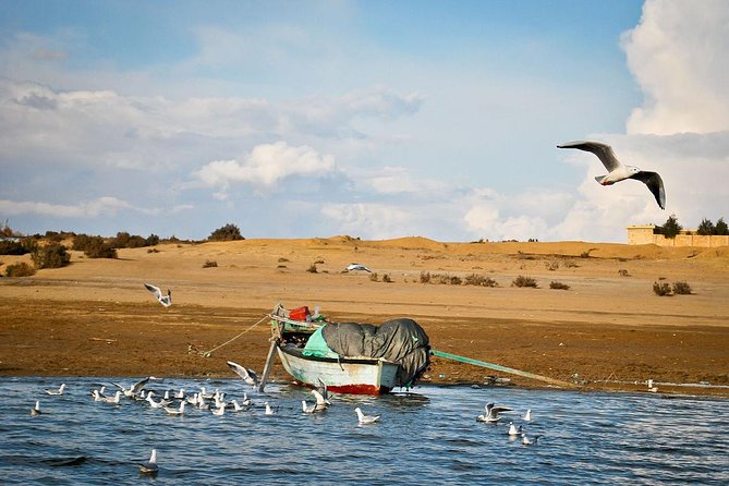 2 Days Desert Safari Trip to Fayoum Oasis From Cairo - Itinerary Highlights