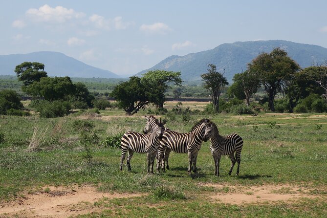 2 Days Mikumi Private Safari From Zanzibar With Accommodation - Itinerary Highlights