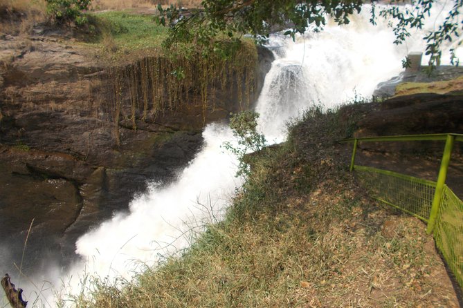 2 Days Murchison Falls Big 5 Savannah Wildlife Safari - Savannah Wildlife Encounters