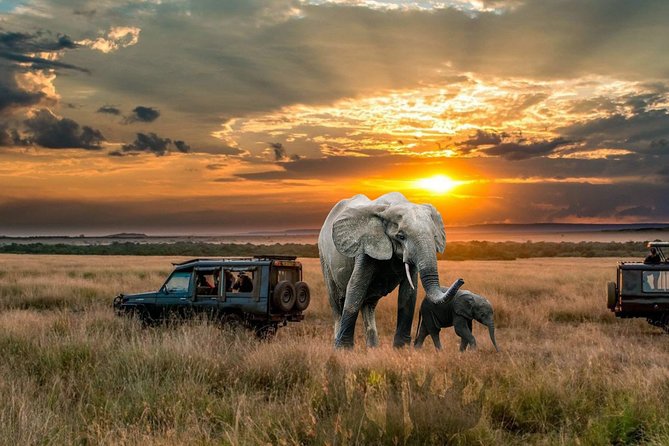 2 Days Northern Circuit Safari (lake Manyara & Ngorongoro) - Pickup and Start Time