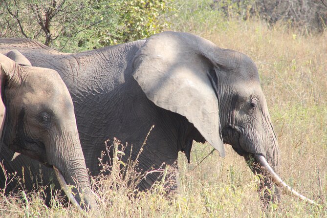 2 Days Private Camping Safari - Safari Inclusions