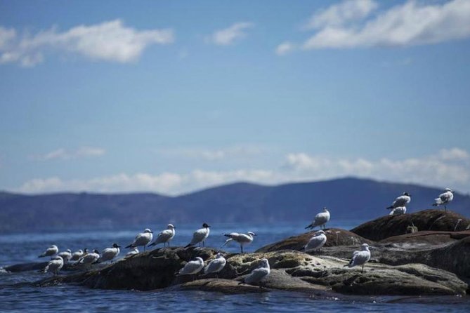 2 Days, the Mystic Titicaca Lake - Floating Reed Islands of Uros