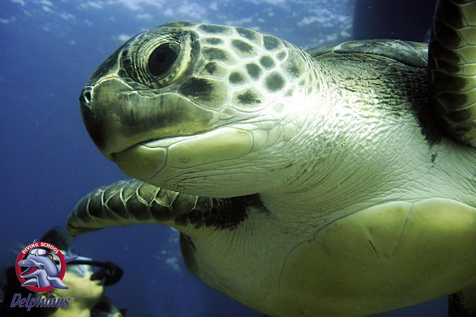 2 Diving Sites Scuba Diving Package in Gran Canaria - Included in the Package