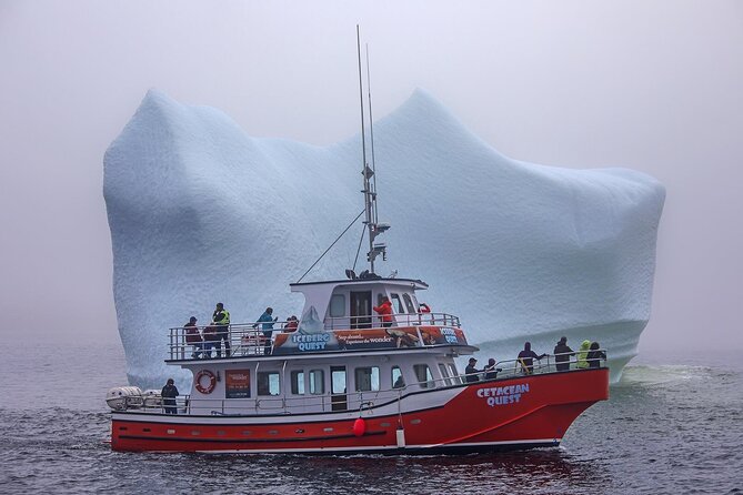 2 Hour Boat Tour in Twillingate - Tour Highlights and Attractions