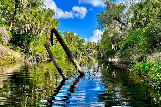 2 Hour Guided Stand up Paddle Board Tour Along Upper Manatee River - Inclusions and Gear