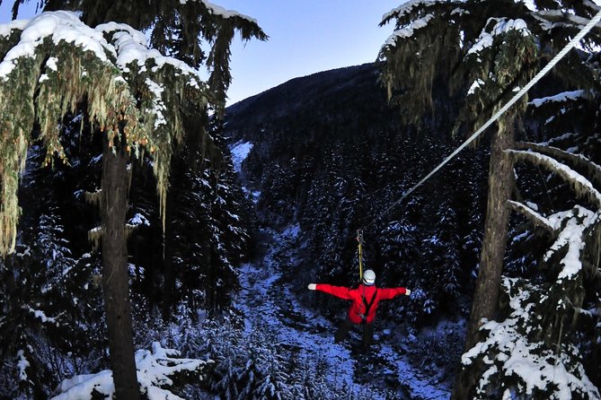 2 Hour Late Afternoon Winter Zipline Adventure - Adventure Details and Highlights