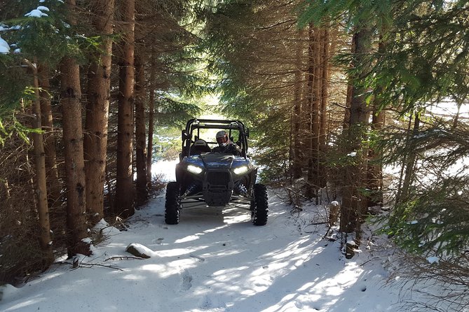 2 Hour Private Superb Buggy Adventure - Buggy Equipment and Features